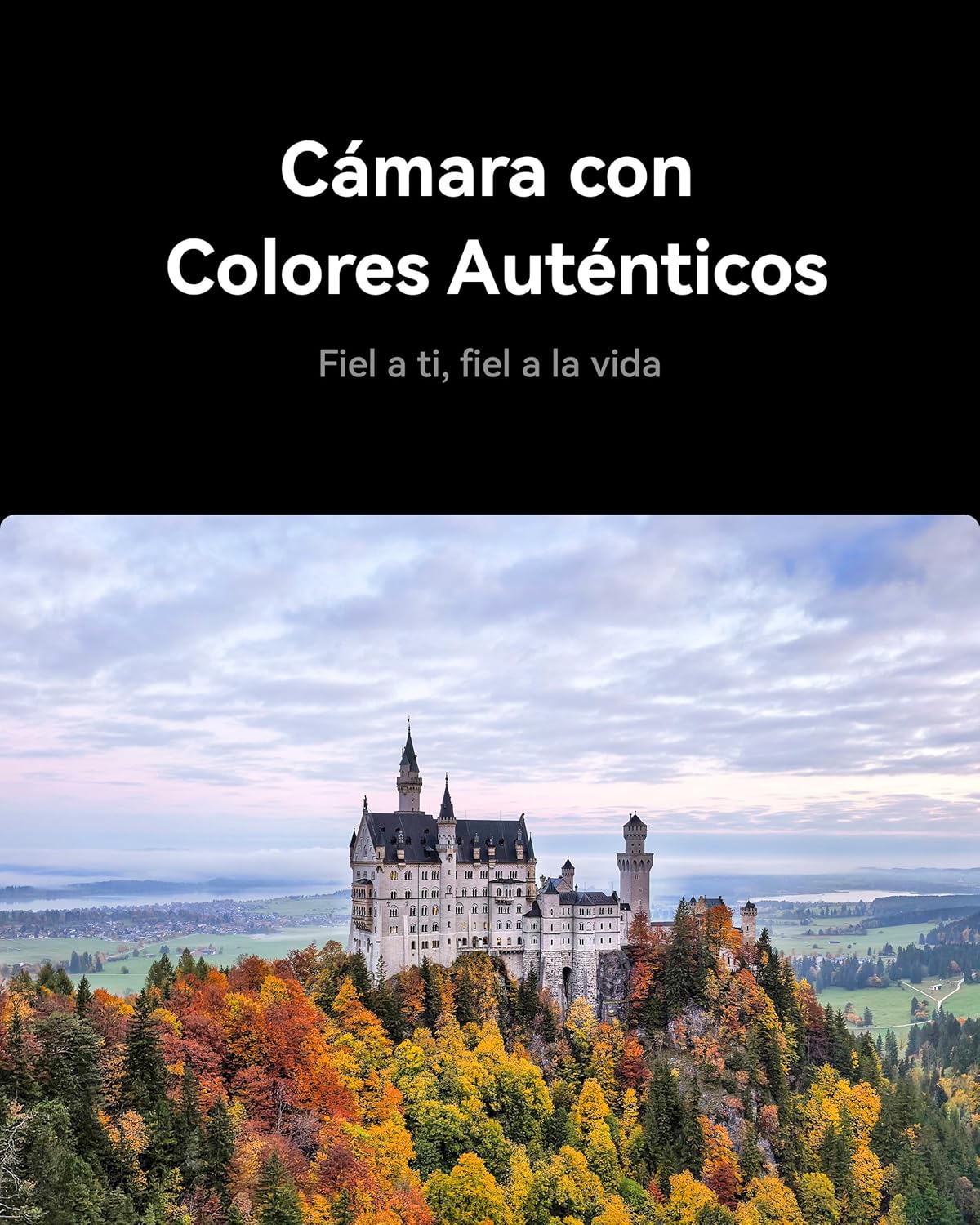 HUAWEI Mate X7 Smartphone Plegable + Smartwatch FIT 4 Pro, 16+512G, 8" 120Hz LTPO Pantalla Flexible, Cámara con Colores Auténticos, Kunlun Glass, 5300mAh Batería, Garantía Adicional 6 Meses, Negro - 4