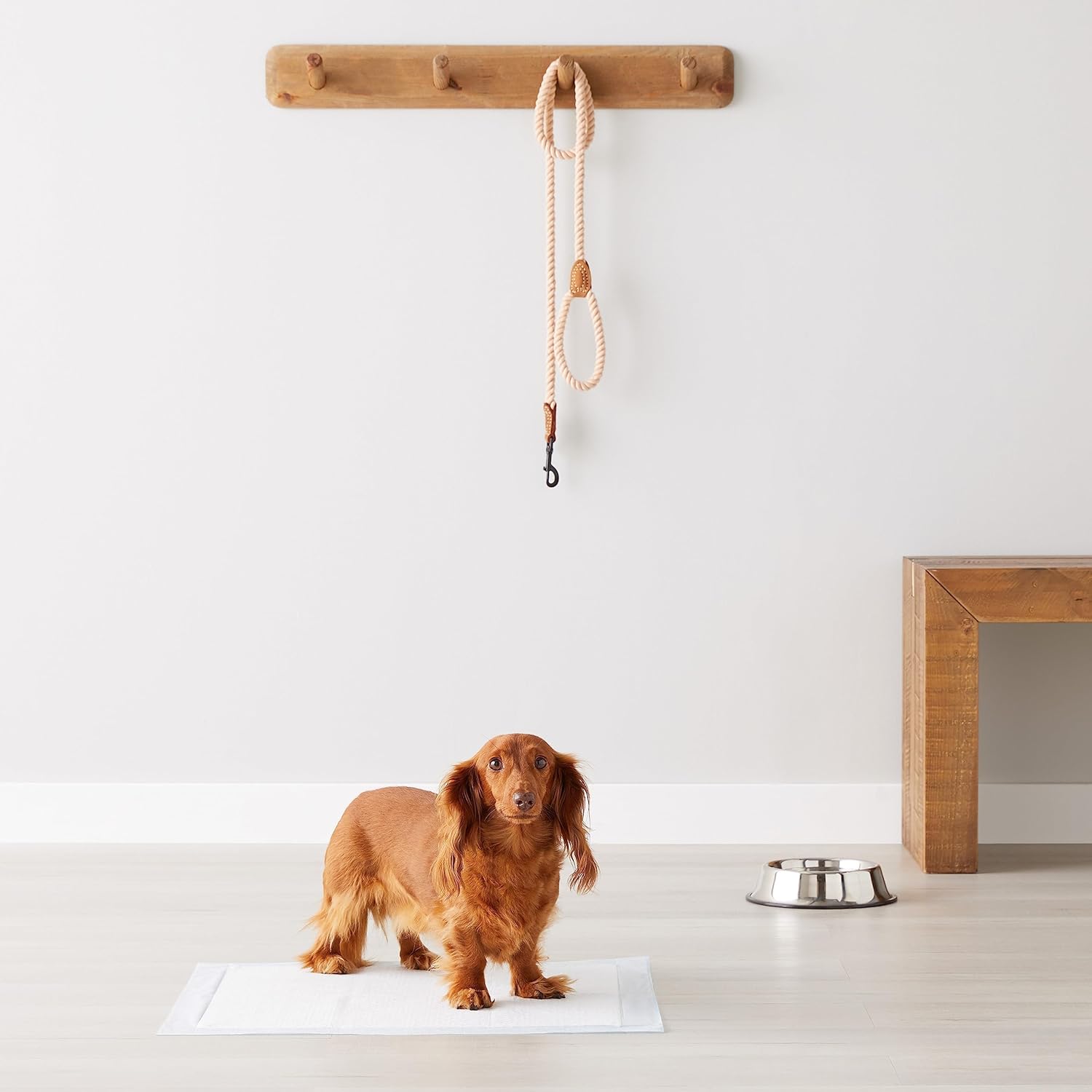 Amazon Basics Almohadillas de adiestramiento de Perros y Cachorros, diseño de 5 Capas a Prueba de Fugas con Superficie de Secado rápido, Regular, 100 Unidades, Azul - 6