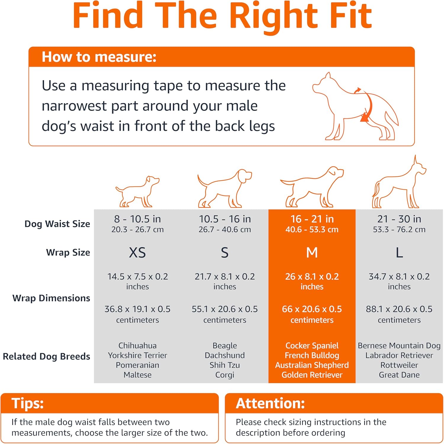 Amazon Basics Pañales Desechables para Perros Macho, M, Paquete de 50, Color Blanco - 4