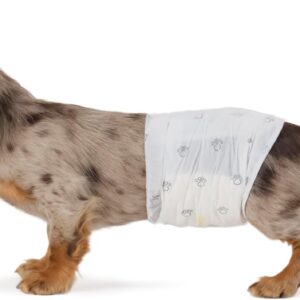 Amazon Basics Pañales Desechables para Perros Macho, S, Paquete de 50, Color Blanco