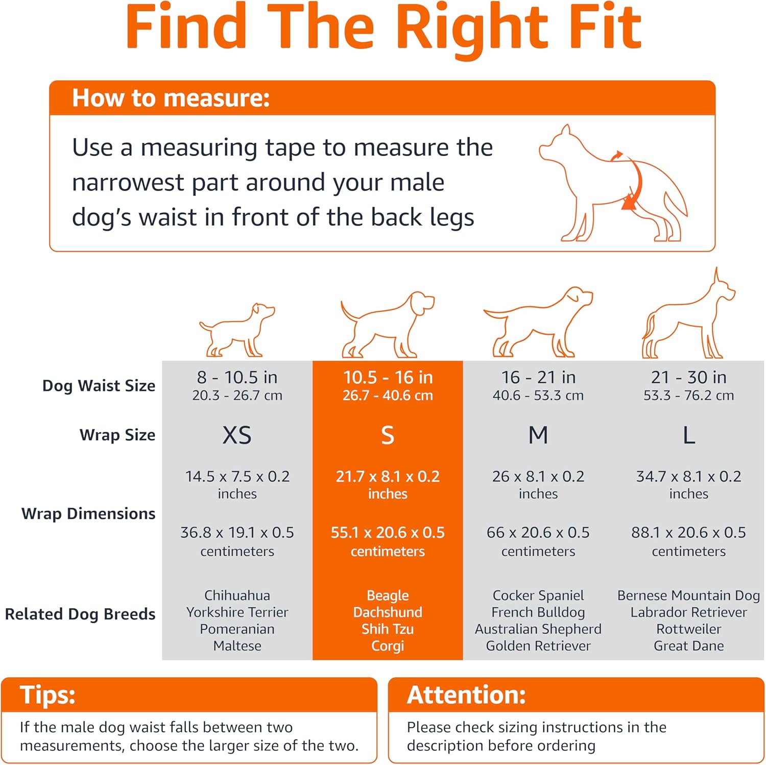 Amazon Basics Pañales Desechables para Perros Macho, S, Paquete de 50, Color Blanco - 4