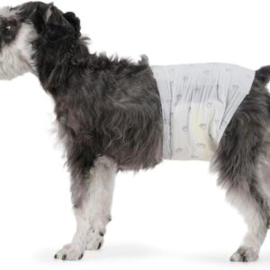 Amazon Basics Pañales desechables para perros macho, M, paquete de 30, color blanco