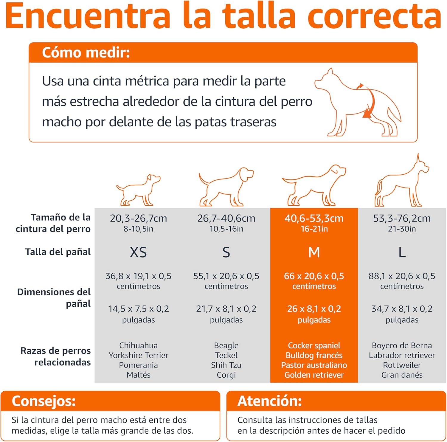 Amazon Basics Pañales desechables para perros macho, M, paquete de 30, color blanco - 4