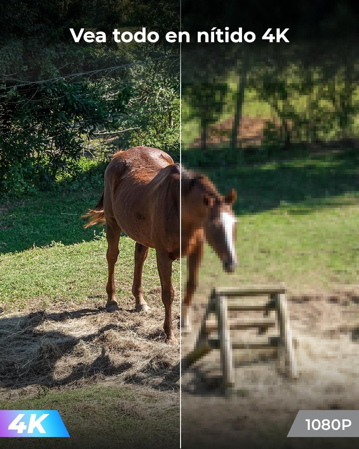 Reolink 4K 8MP Cámara Inalámbrica de Exteriores con Batería, 3G/4G LTE, 360° PTZ, Visión Nocturna en Color, Detección Smart, Audio Bidireccional, Fácil Instalación, Go PT Ultra + Panel Solar + 32GB SD - 5