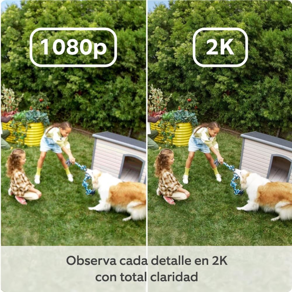 Novedad Ring | Cámara exterior Plus con batería (Outdoor Camera Plus) + Ring Cámara interior (Indoor Camera 2.ª gen.) | 30 días gratis de Ring Home - 3