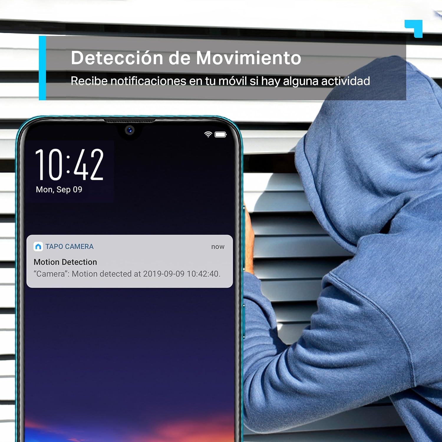 Tapo C210(2-Pack) - Cámara IP WiFi 360° Cámara de Vigilancia 2K (3MP),Visión Nocturna Admite Tarjeta SD hasta 512 GB, Detección de Movimiento, Control Remoto, Compatible con Alexa - 6
