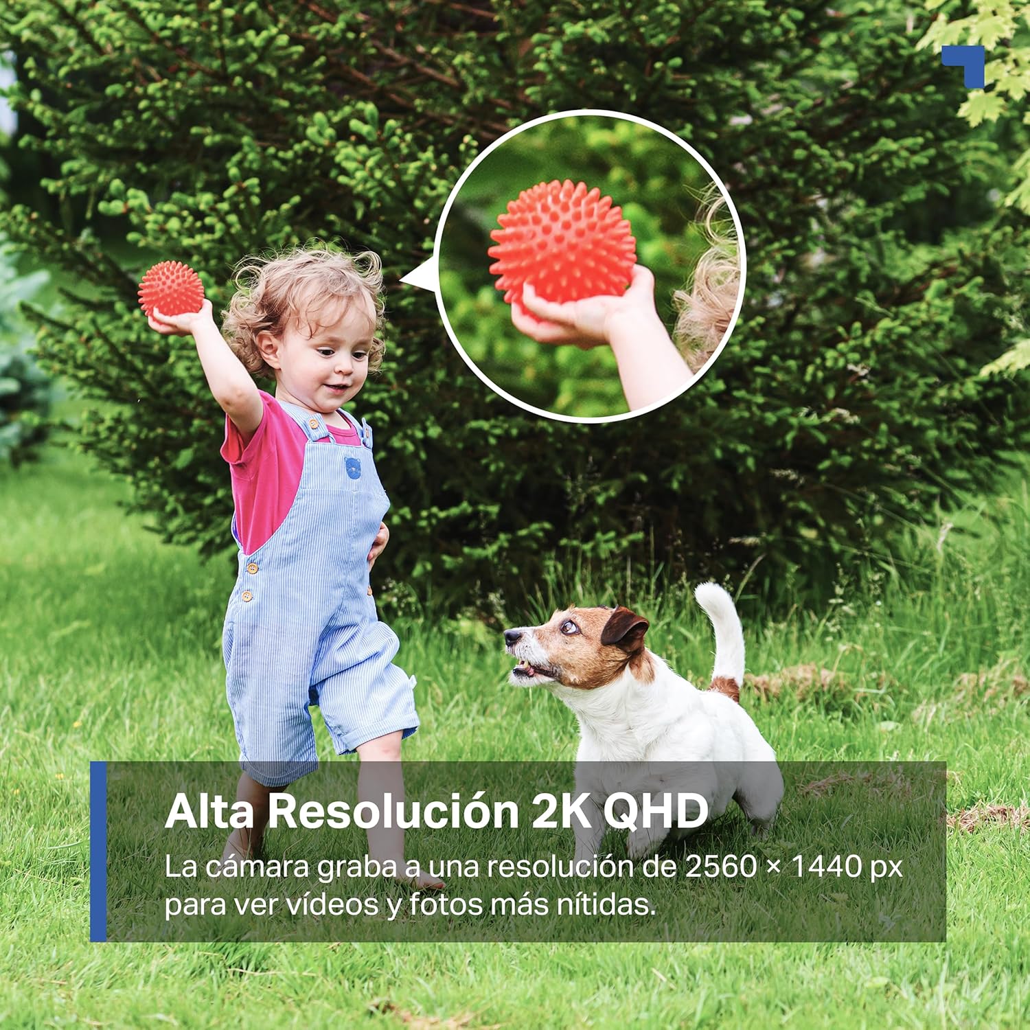 Tapo C425 Kit-Cámara de Seguridad Solar, Base magnética Ajustable, visión Nocturna en Color, Memoria MicroSD, batería de 10000 mAh, Campo de visión súper Gran Angular de 150°, Compatible con Alexa - 4