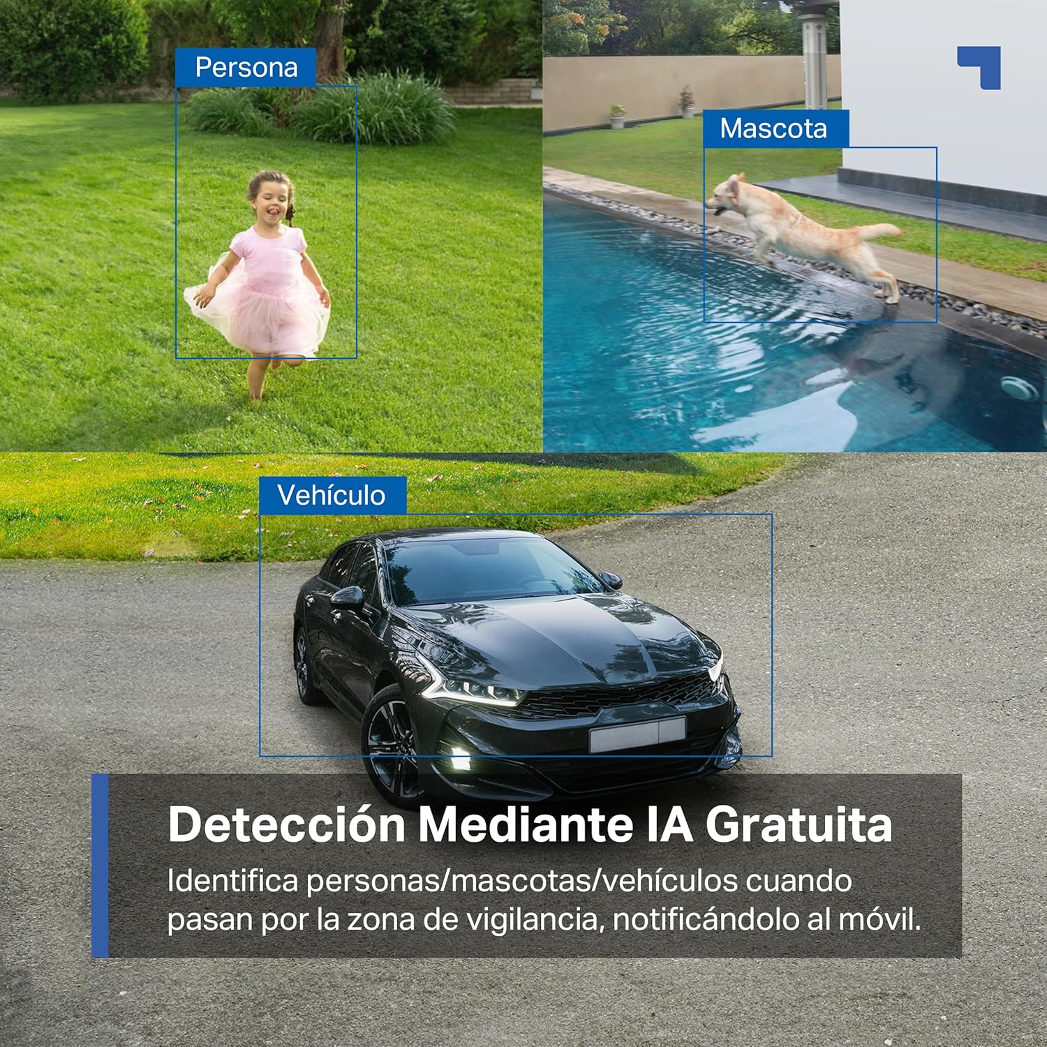 Tapo C425 Kit-Cámara de Seguridad Solar, Base magnética Ajustable, visión Nocturna en Color, Memoria MicroSD, batería de 10000 mAh, Campo de visión súper Gran Angular de 150°, Compatible con Alexa - 6