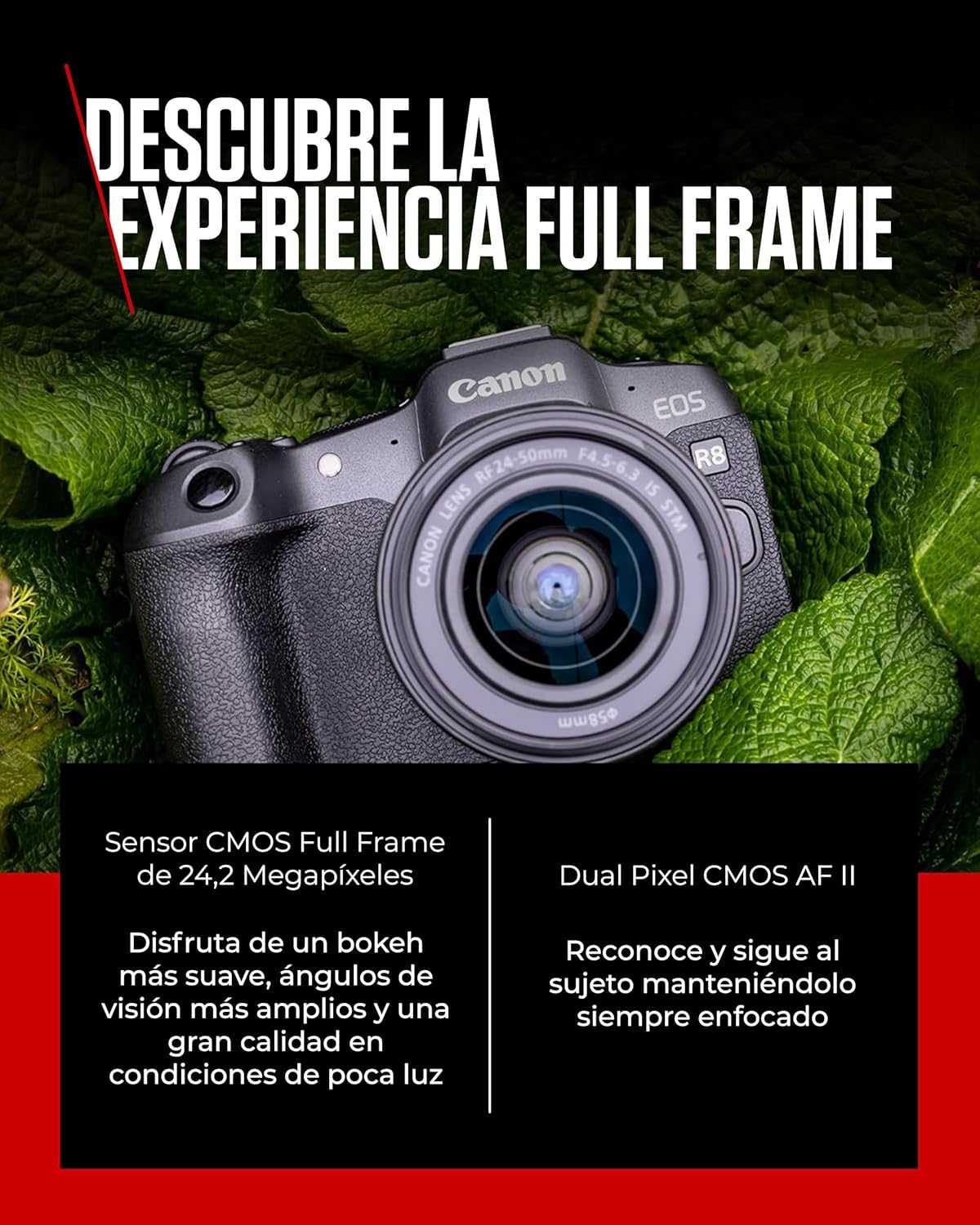CANON EOS R8 Cámara Mirrorless + Objetivo RF 24-50 mm F4.5-6.3 IS STM, Cámara Evil Full Frame (24,2 MP) -6.5 EV, Vídeo 4K 60 fps, Dual Pixel CMOS AF II, Pantalla Táctil de Ángulo Variable, Negro - 3