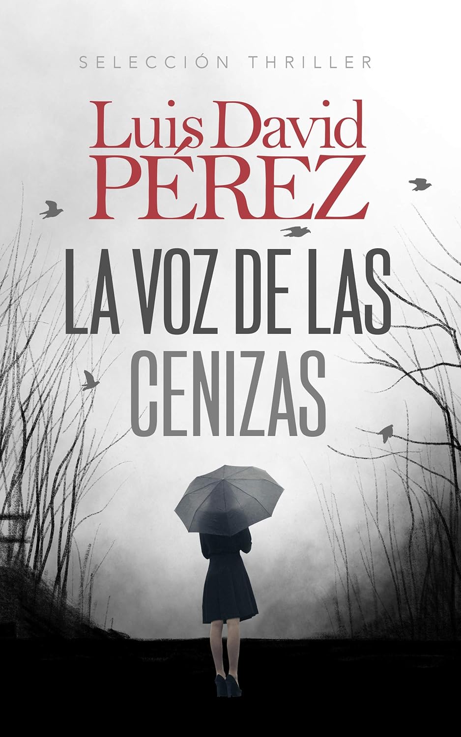 La voz de las cenizas: Un thriller de misterio e intriga (Bilogía Eduard Morillo nº 1) - 1