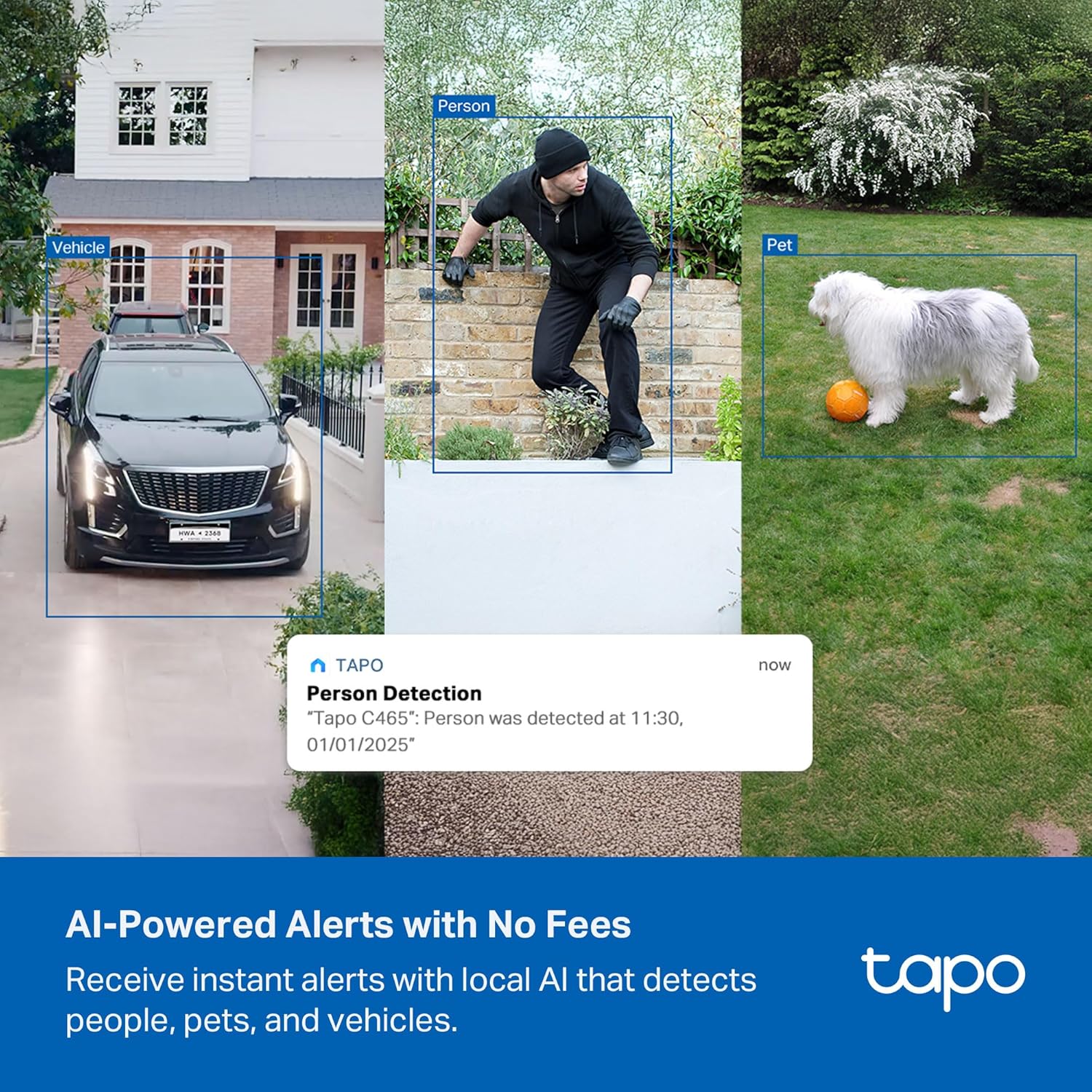 Tapo C465 - Cámara de Seguridad Exterior 4K con Panel Solar Integrado, Batería Recargable, IA de Detección Personas/Mascotas/Vehículos, Wi-Fi Doble Banda, IP65, Compatible Alexa/Google - 6