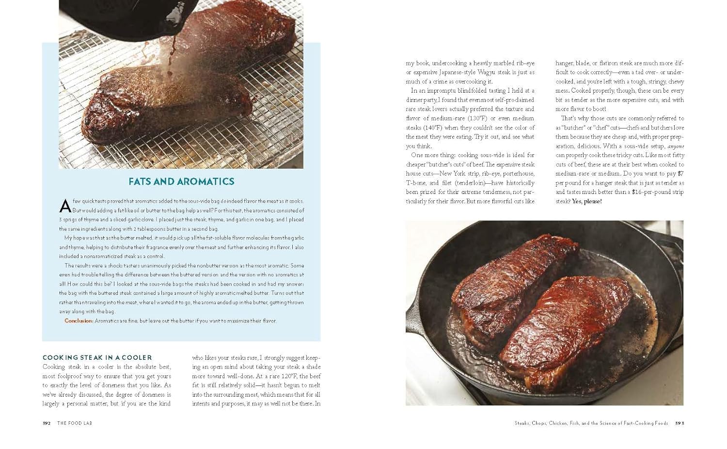 The Food Lab: Better Home Cooking Through Science (Idioma - Inglés) - 5