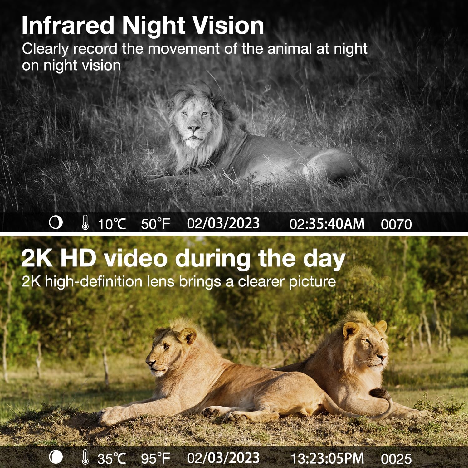 3G/4G LTE Cámara fototrampeo de Vigilancia Exterior con Batería Solar, 2K Visión Nocturna en Color, PIR Detección de Movimiento, IP66, Adecuado para Uso en Exteriores o en Lugares sin WiFi - 6