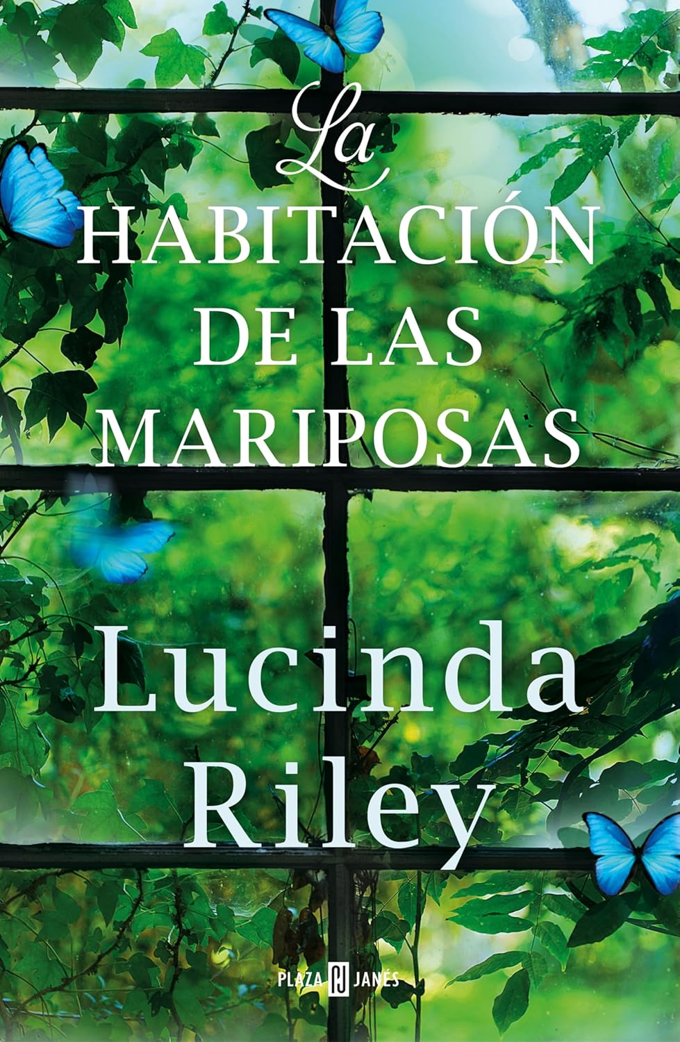La habitación de las mariposas - 1